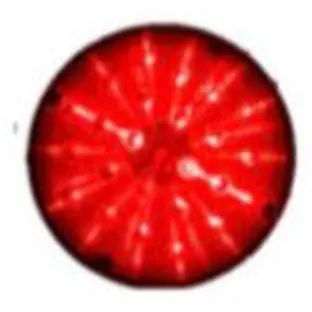 1096-RD — Plafón · 24 LED