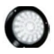 PLA6612BW-SAI — Calavera · 4″ · 48 LED